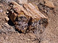 Escalante state park (16).JPG